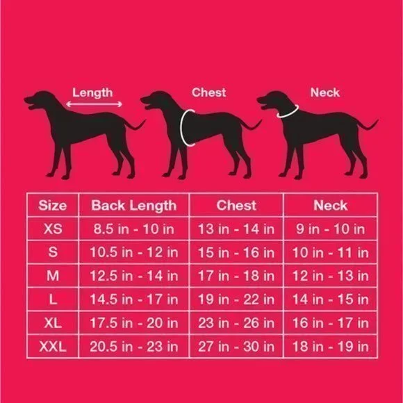 Pet-XL - Picture 5 of 5